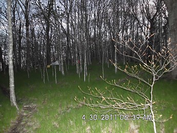 Spring-Trip-2-026.jpg
