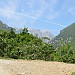 IMG_0506