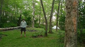 TRIP-125-283.jpg