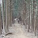 P2040453
