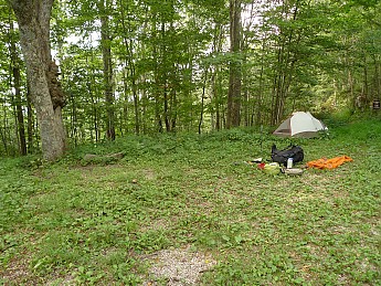 TRIP-125-285.jpg
