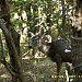 Way to close! Young Doe