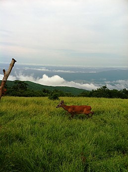 Gregory-Hike-with-Susan-013.jpg