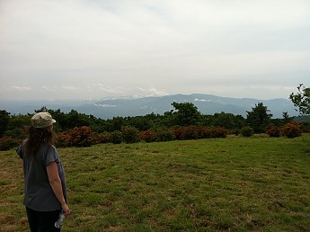 Gregory-Hike-with-Susan-041.jpg