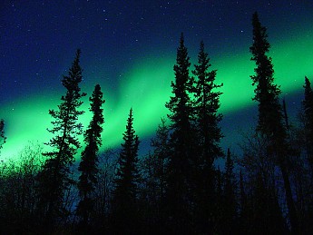 Northern-Light.jpg