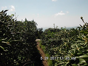 Summer-Trip-1-104.jpg