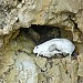 An Eerie Crevice:  Baraboo, WI