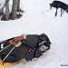 DSCN3306