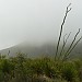 Mystic Desert: Carlsbad Caverns NP, NM