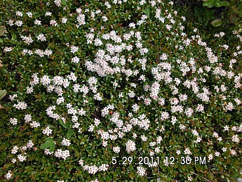 Summer-Trip-1-121.jpg