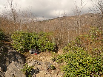 TRI-132-271.jpg