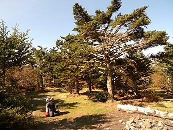 TRI-132-278.jpg