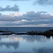 Picture taken early morning over a frozen pond near Hawthorn nature reserve in Co. Durham. UK ON FROZEN POND. UK