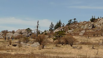 TRI-132-125.jpg