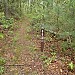 Upper-Bald-Loop-082