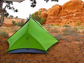 IMG_0839_crop.jpg