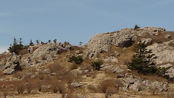 TRI-132-127.jpg