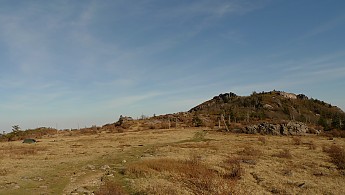 TRI-132-129.jpg
