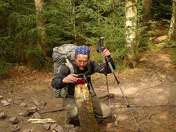 TRI-132-304.jpg