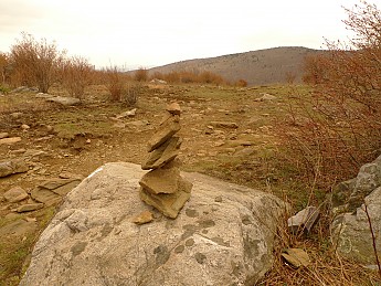 TRI-132-305.jpg