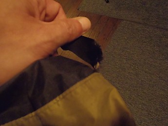 image.jpg
