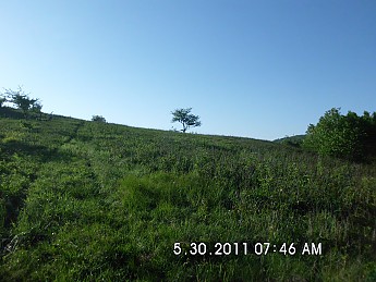 Summer-Trip-1-153.jpg