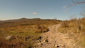 TRI-132-326.jpg