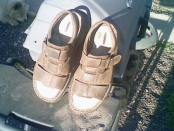 Skechers-size-13-sandals.jpg