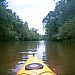 Natural springs feed this jewel of a river, so clear to the bottom and fresh. Natural springs in rock walls and in underground caverns give this 60 deg F (average) temperature to this river. Best time is in heat of July. Ecofina River, FL