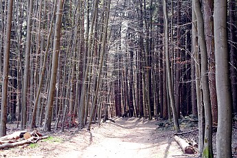 SAM_0525.jpg