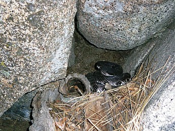 DSCN2465.jpg