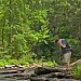 Chattooga Pondering