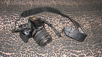 IMG_4193.jpg