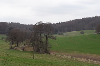 SAM_0530.jpg