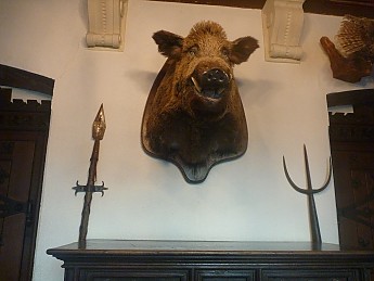 P1000313.jpg