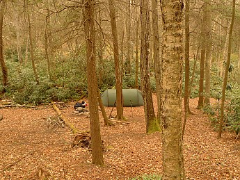 TRI-132-342.jpg