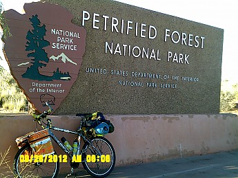 Petrified-Forest-Nat-Park.jpg