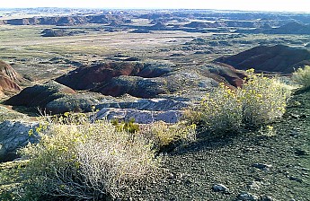 The-Painted-Desert-north-of-the-Petrifie