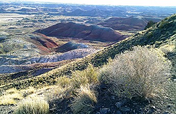 The-Painted-Desert-north-of-the-Petrifie