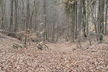 SAM_0527.jpg