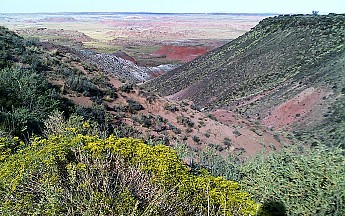 The-Painted-Desert-north-of-the-Petrifie