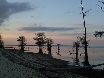 SDC10659.jpg