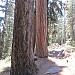 IMG_4655