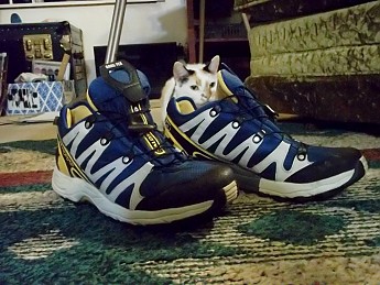 100_0705.jpg