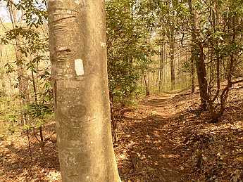 TRI-132-358.jpg