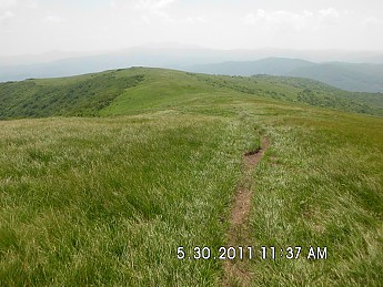 Summer-Trip-1-213.jpg