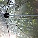 DSCF2063