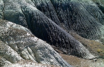 Eroded-silt-and-ash-in-the-Petrified-For
