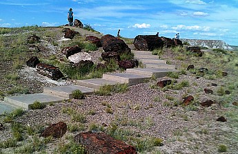 Petrified-giants-lay-whee-they-fell-eons