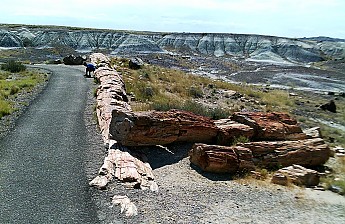 Petrified-giants-lay-whee-they-fell-eons